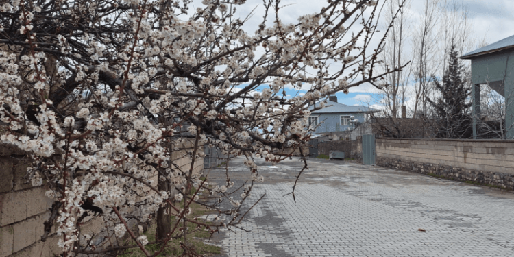 Adilcevaz’da iki mevsim bir arada