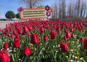 Samsun’un refüjleri kadınların elinde güzelleşiyor