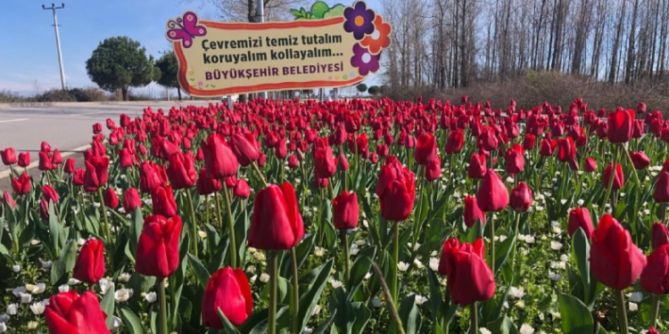 Samsun’un refüjleri kadınların elinde güzelleşiyor