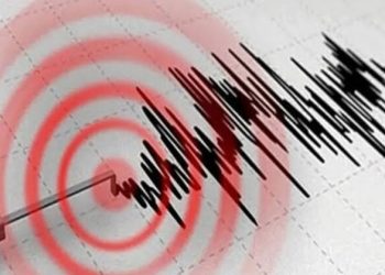 7.4 büyüklüğünde deprem, Tüm Ülke’de alarm verildi