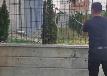 Tellere çıkan yılan, ekipleri harekete geçirdi