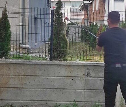 Tellere çıkan yılan, ekipleri harekete geçirdi