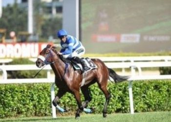 97. Gazi Koşusu’nda kazanan Urfa Aslanı