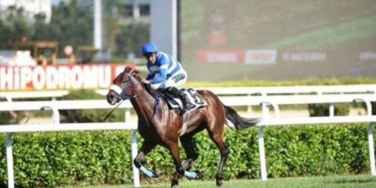 97. Gazi Koşusu’nda kazanan Urfa Aslanı