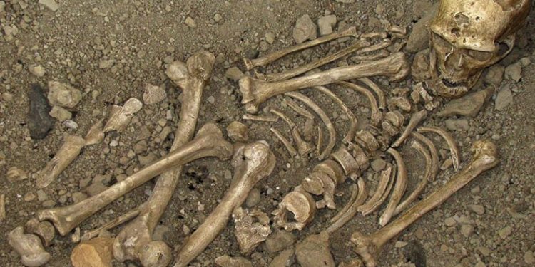 Bağ yolunda insan kemikleri bulundu