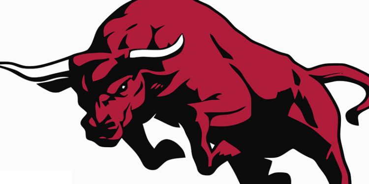 Kaçan boğa 1 saatlik kovalamacanın ardından yakalandı