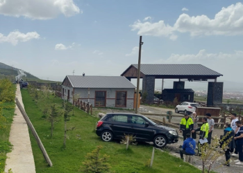 Fren yerine gaza bastı