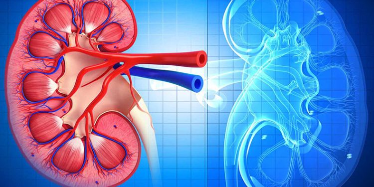 Böbreğini satmak isterken yakalandı