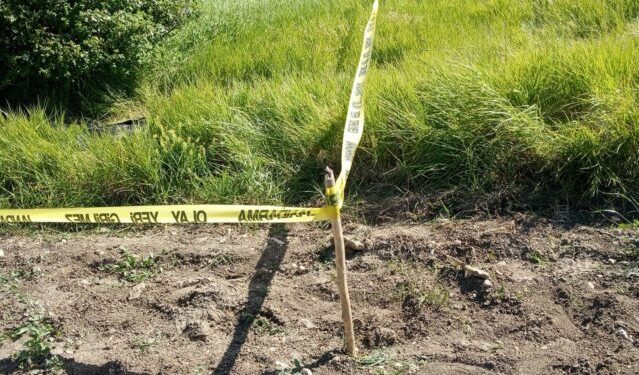 2 gün önce kaybolan adam ölü olarak bulundu