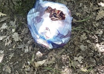 Ormanlık alan yine çöplüğe döndü