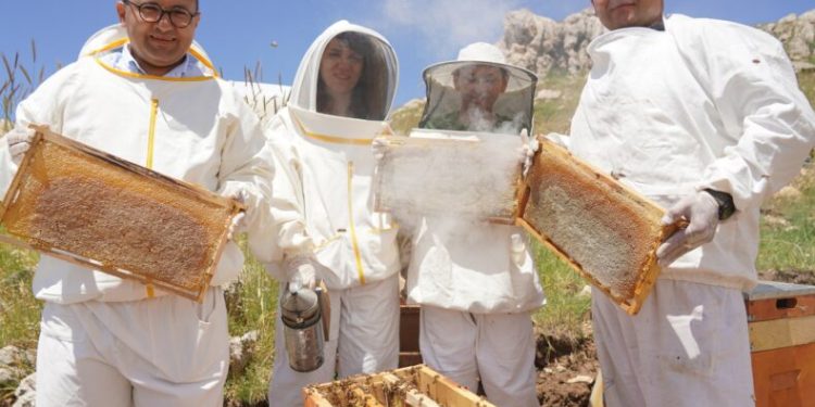 Antimikrobiyal tescilli balda ilk hasat