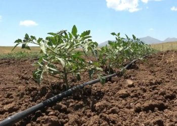 30 yıl sonra bir ilk