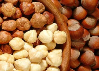 “Fındık 100 TL olmalı”