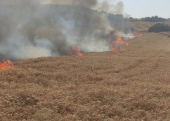 Buğday tarlasında yangın