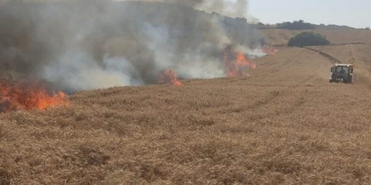 Buğday tarlasında yangın