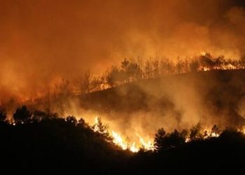 Hatay’da Orman yangını devam ediyor