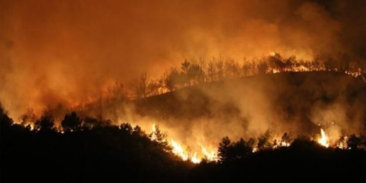 Hatay’da Orman yangını devam ediyor