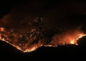 Yangınların ardı arkası kesilmiyor şimdi de Mersin’de yangın çıktı