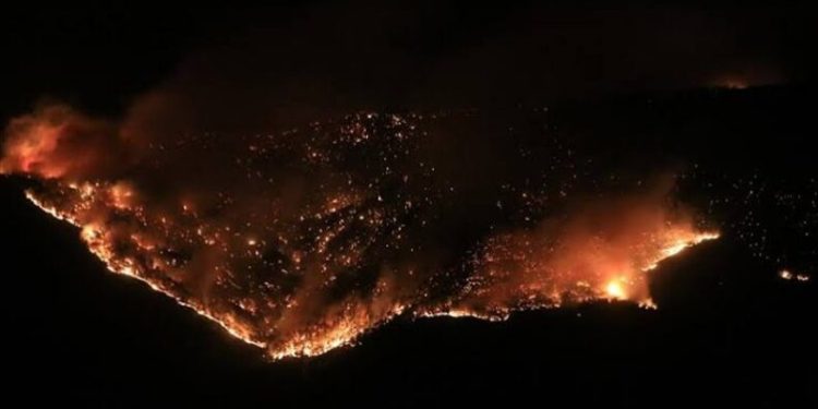 Yangınların ardı arkası kesilmiyor şimdi de Mersin’de yangın çıktı