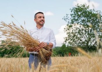 Türkiye’nin en ucuz Ekmeği için hasat zamanı