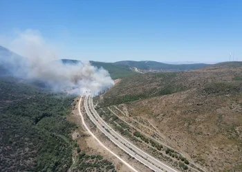 Yangınlardan iyi haber