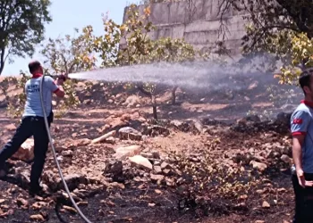 Fıstık bahçesinde yangın