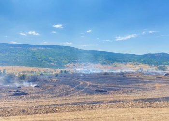 Balya makinesinden çıkan kıvılcım 90 dönüm tarlayı yaktı