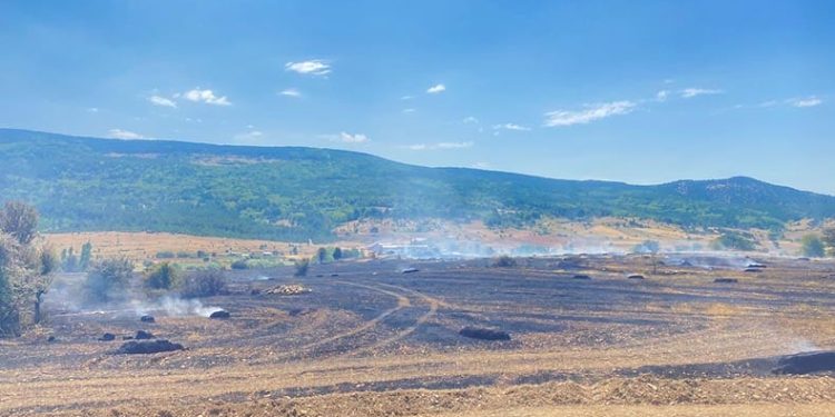 Balya makinesinden çıkan kıvılcım 90 dönüm tarlayı yaktı