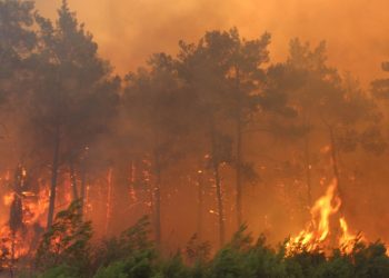 9 günlük yangın bilançosu