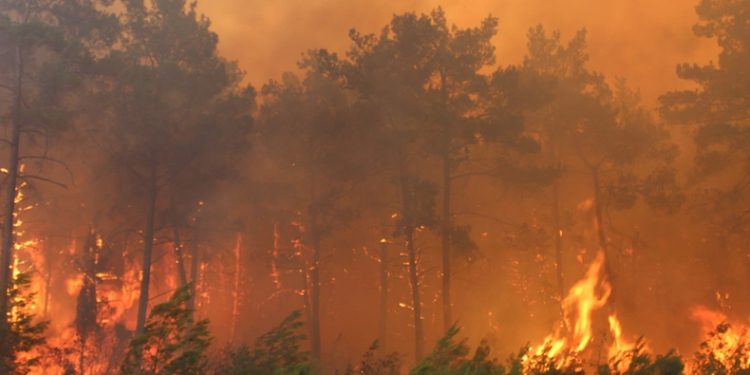 9 günlük yangın bilançosu