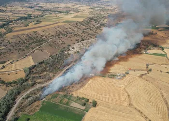 Başkent’te tarlada çıkan yangın korkuttu