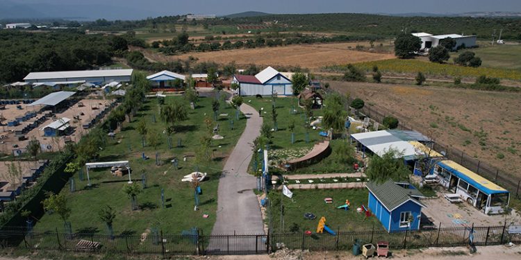 Emekli hayvanlar böyle dinleniyor