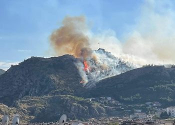 Amasya Kalesi’nde ormanlık alanda yangın
