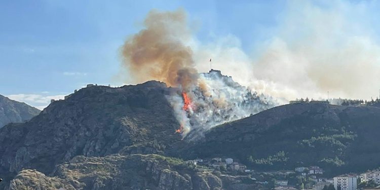 Amasya Kalesi’nde ormanlık alanda yangın