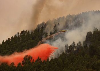 11 bin 600 hektarlık alan kül oldu