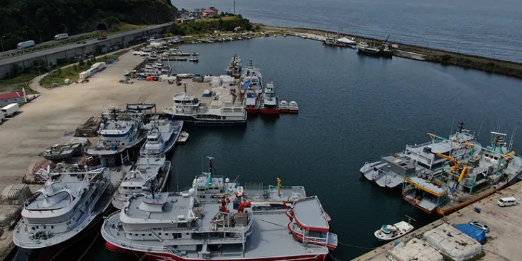 Denizlerde balık avı yasağı bitiyor