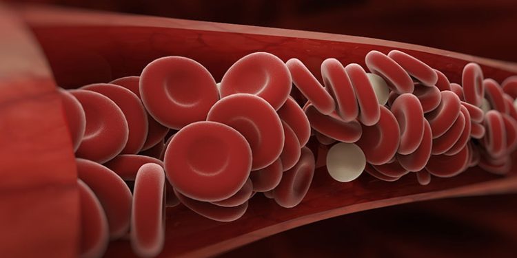 Genetik testin önemini