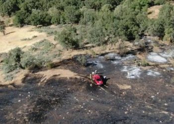 Orman yangını kontrol altına alındı