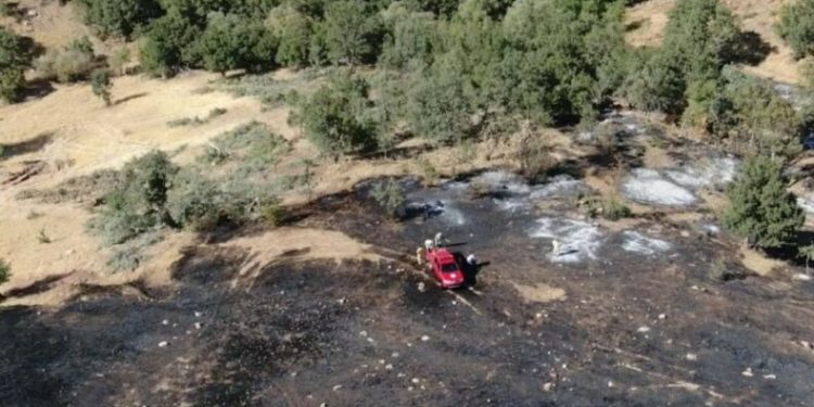 Orman yangını kontrol altına alındı