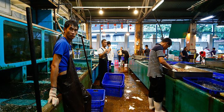Çin’den Japonya’ya Fukushima tepkisi