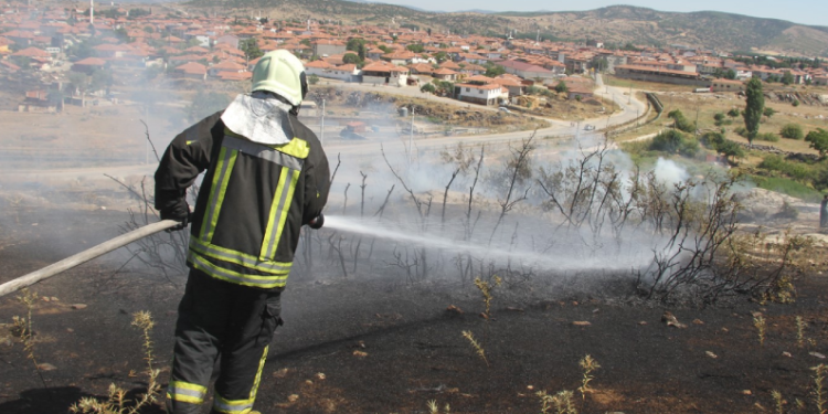 Yangın 30 dönümde etkili oldu