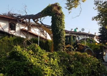 Ağaç villanın üzerine devrildi