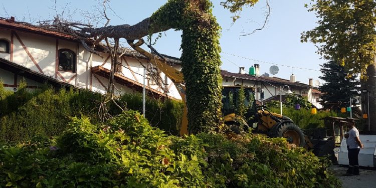 Ağaç villanın üzerine devrildi