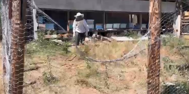 Tel örgüler ayıları durdurmadı