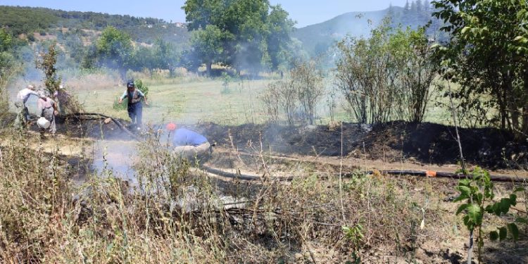 Yangının büyümesini köylüler önledi