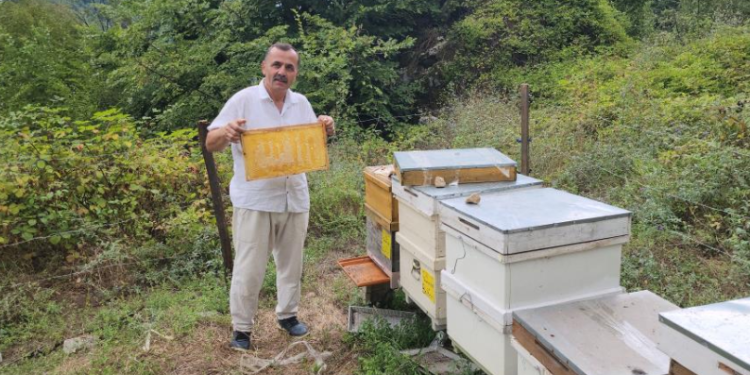 Petek üzerinde ‘Allah’ yazısı oluşturdu