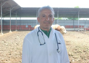 Veteriner hekimler şiddete sessiz kalmadı