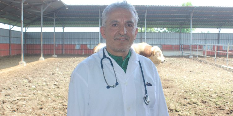 Veteriner hekimler şiddete sessiz kalmadı