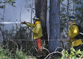 Hawaii’de orman yangını