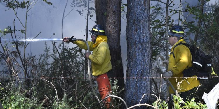 Hawaii’de orman yangını